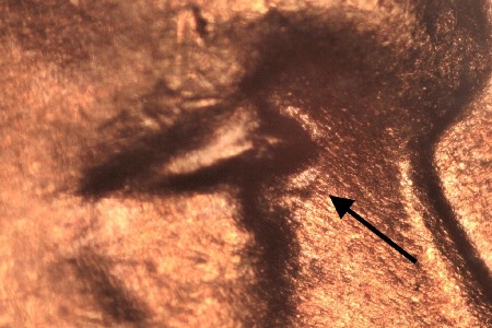 Image 22