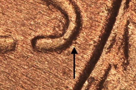 Image 13