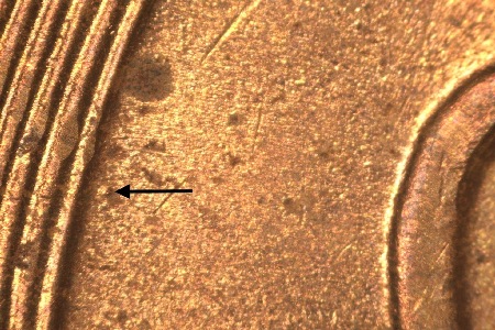 Image 20