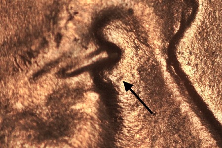 Image 23