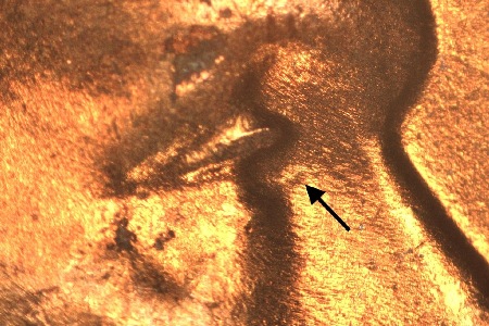 Image 13