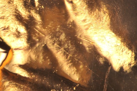 Image 14
