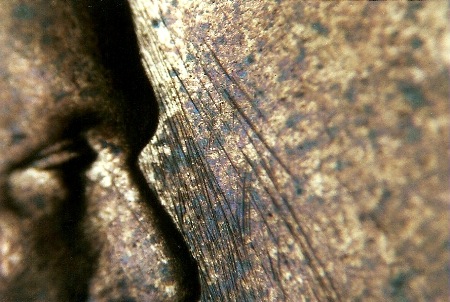 Image 15