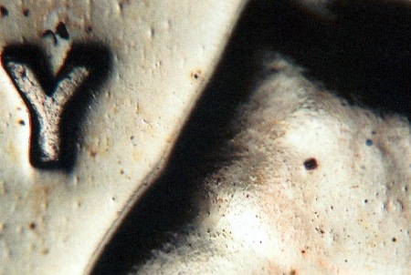 Image 14