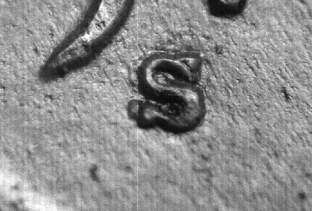Image 13