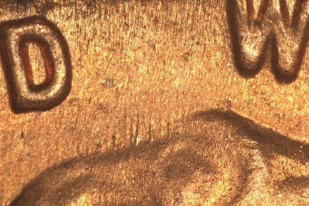 Image 13