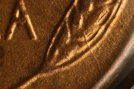 Image 14