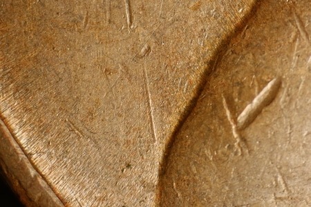 Image 14