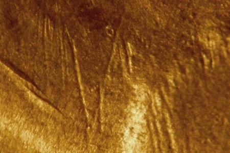 Image 24