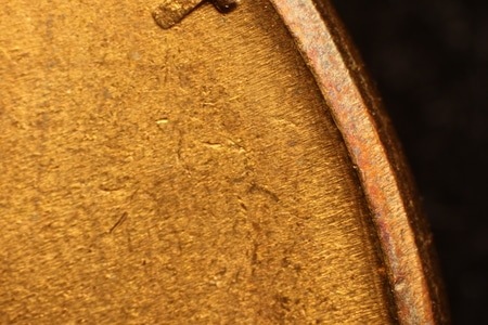 Image 13