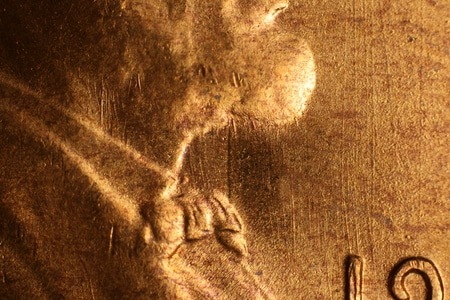 Image 20