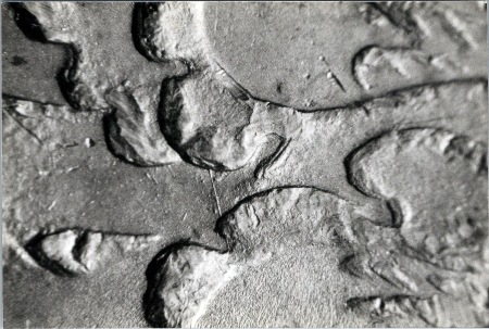 Image 18