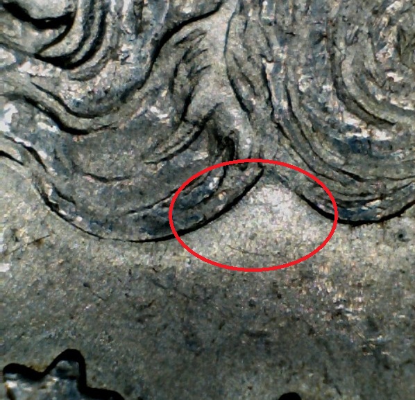 Image 13