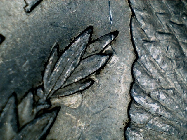 Image 15