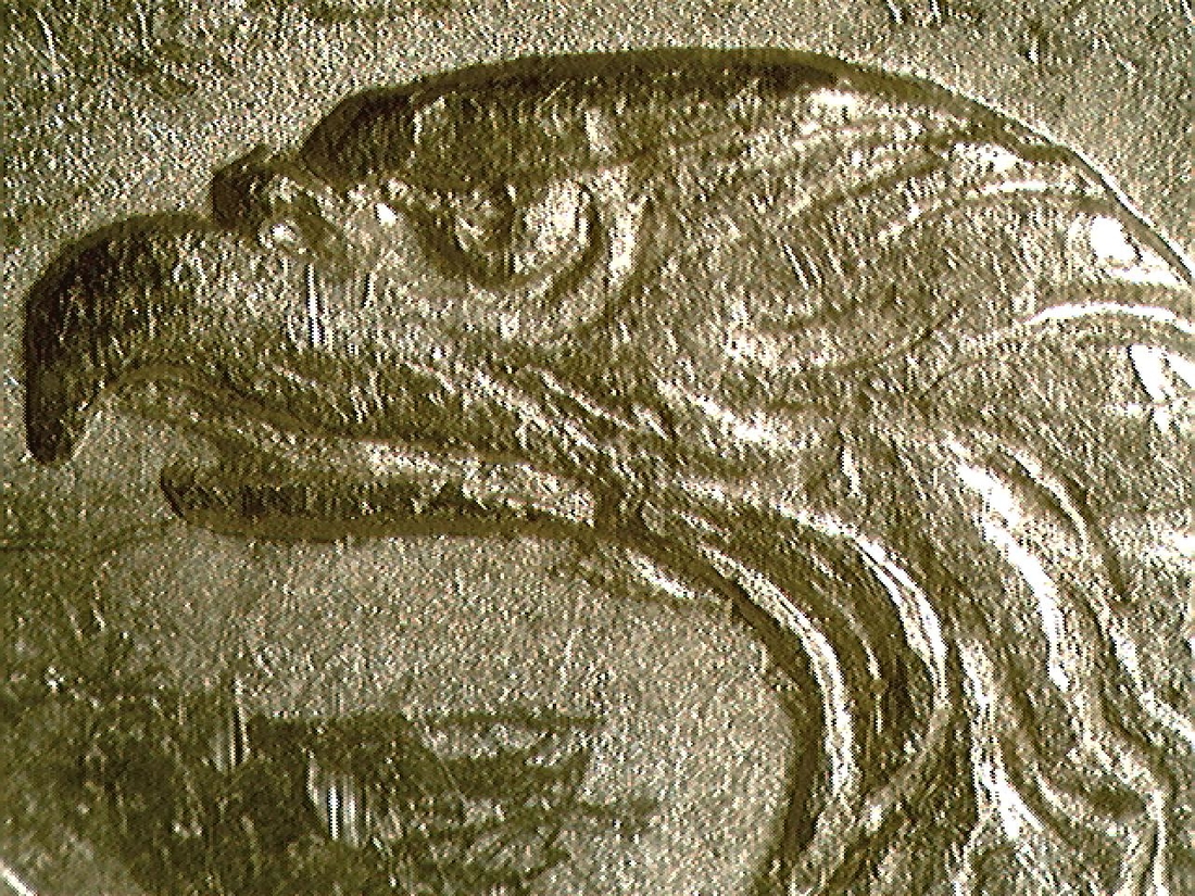 Image 9