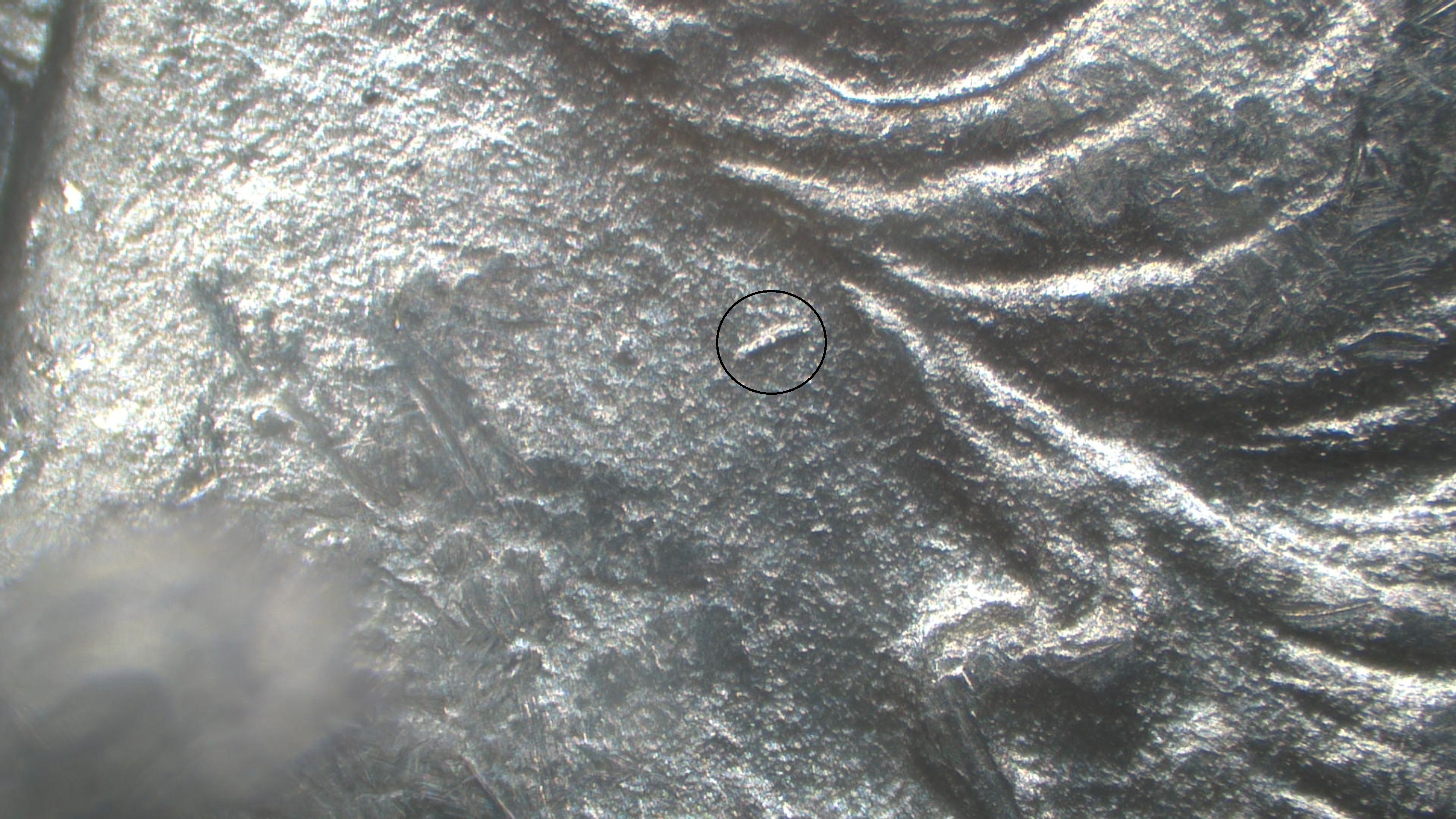 Image 24