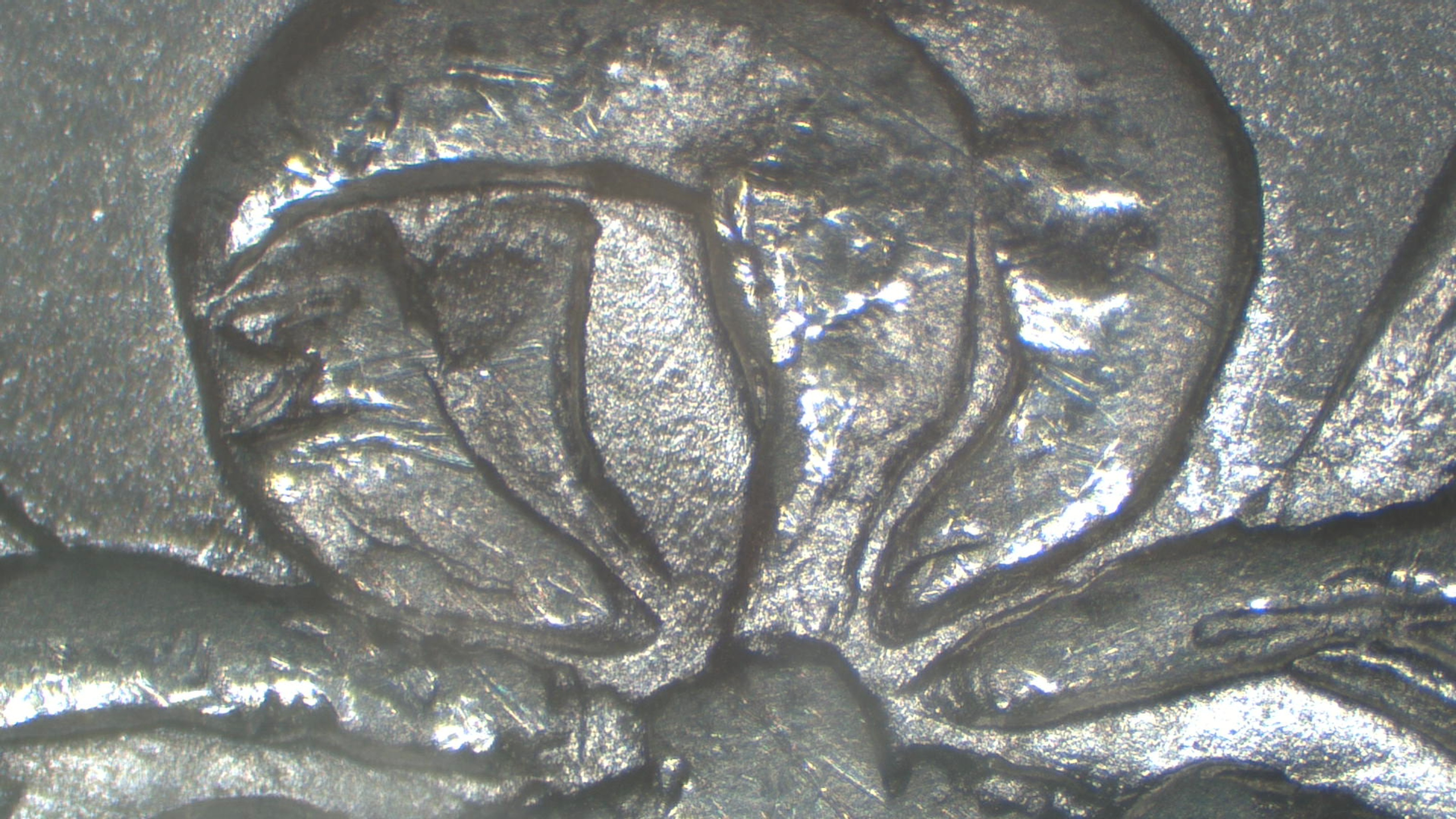 Image 18