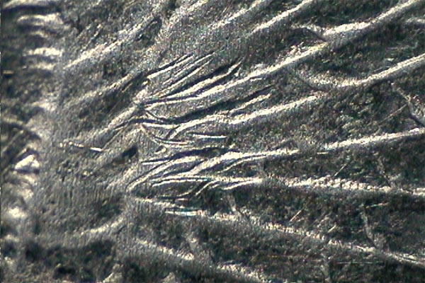 Image 13