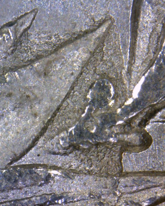 Image 23