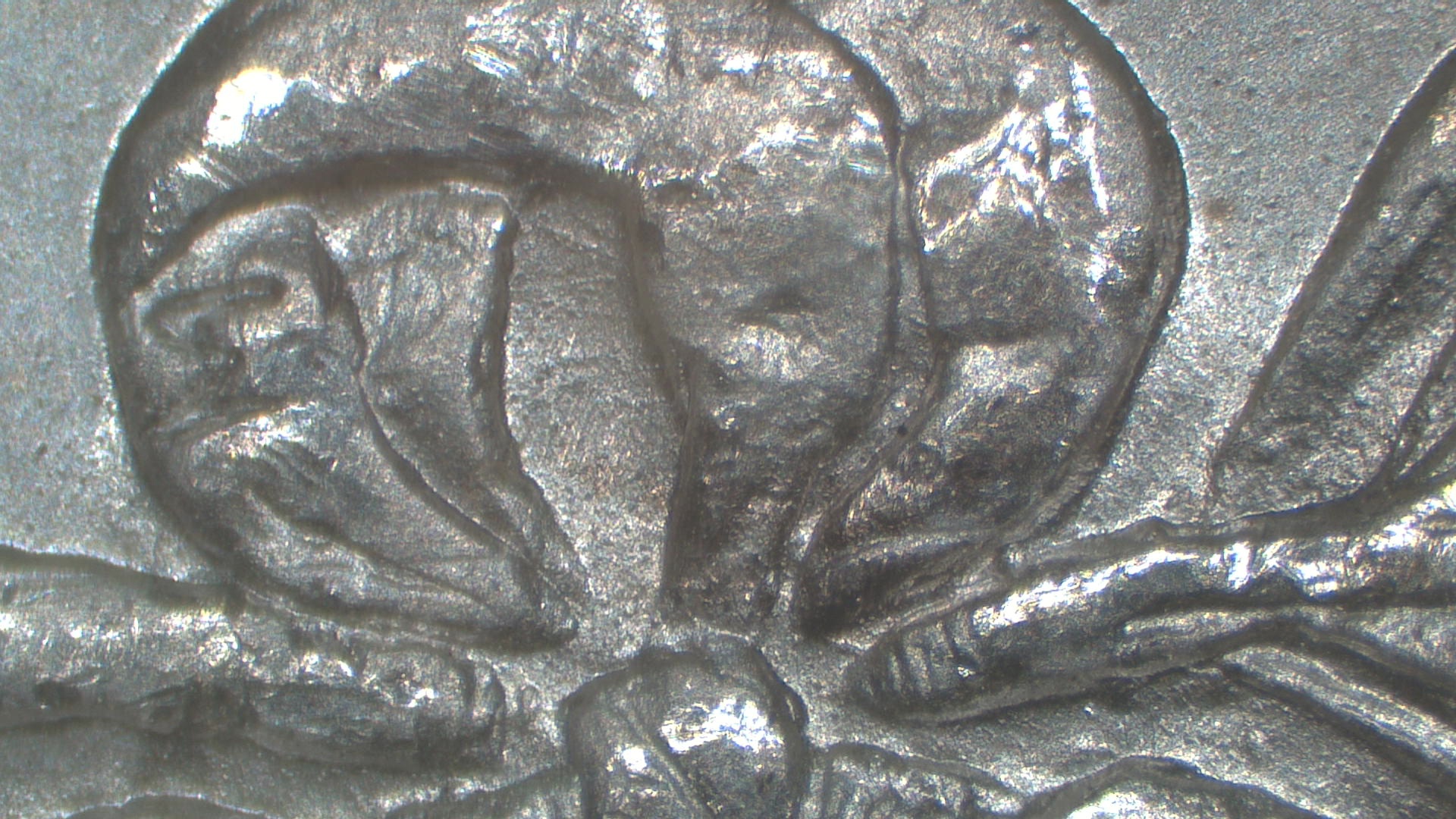 Image 22