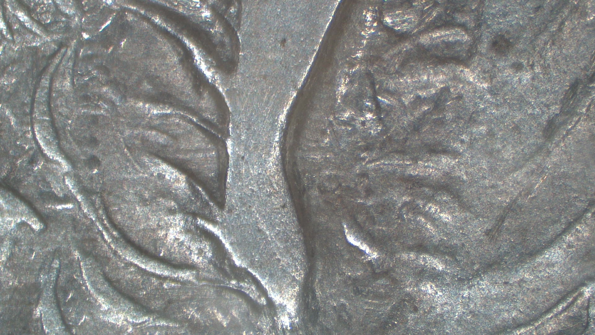 Image 19