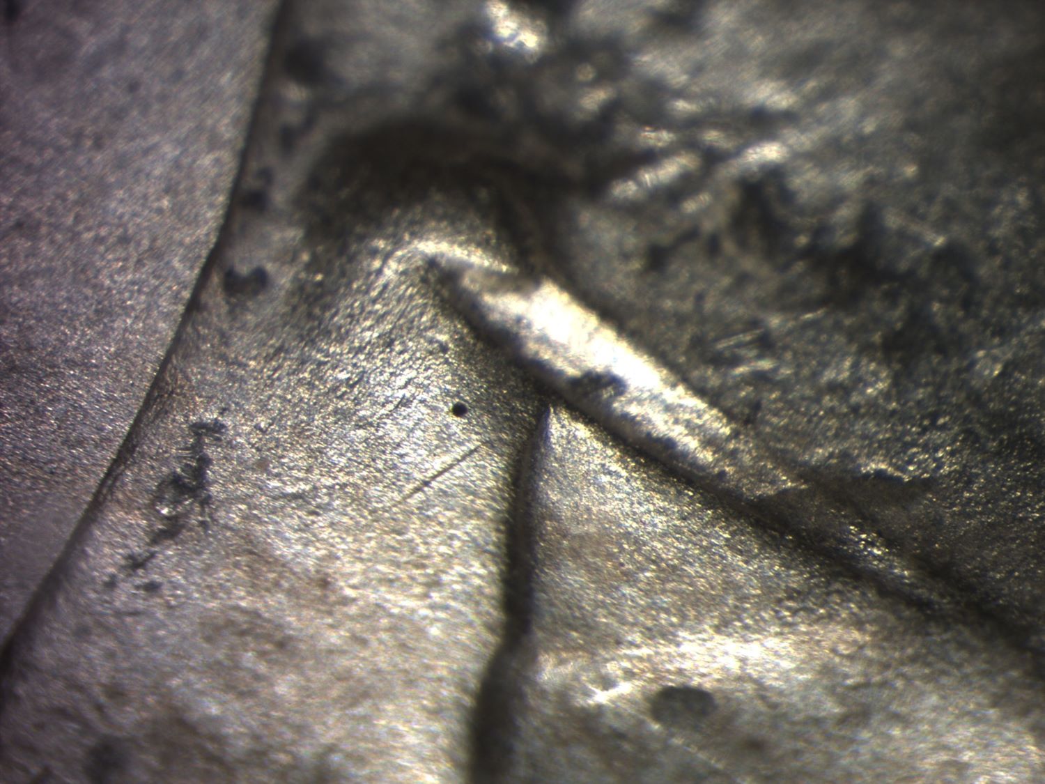 Image 13