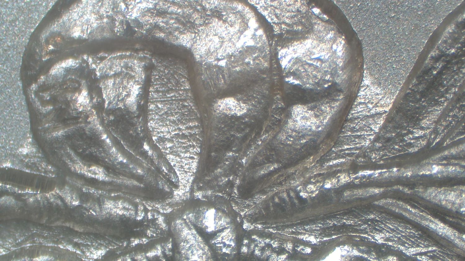 Image 19