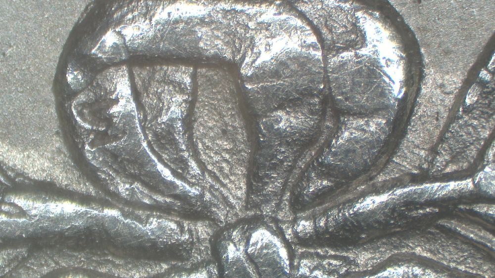Image 14