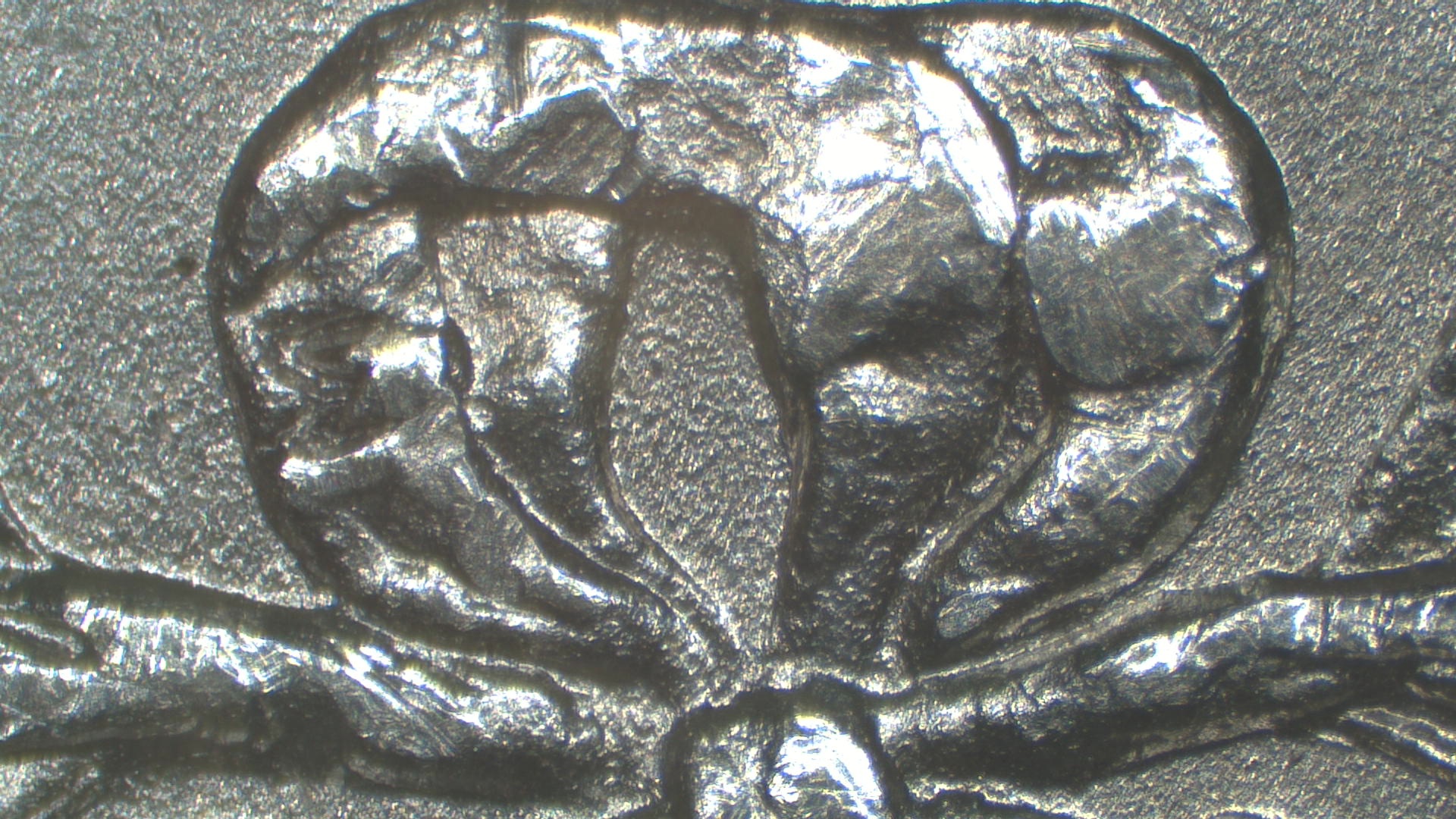 Image 31