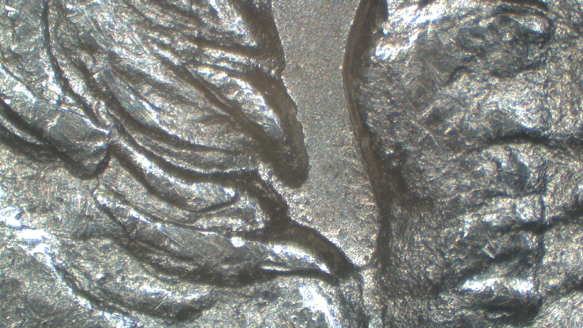 Image 28
