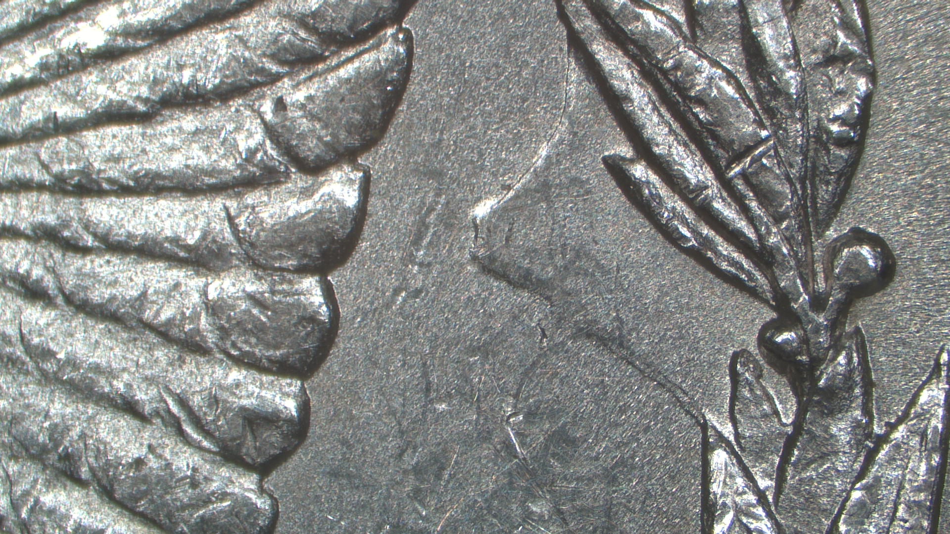Image 26