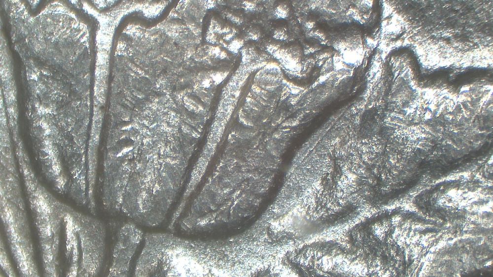 Image 17