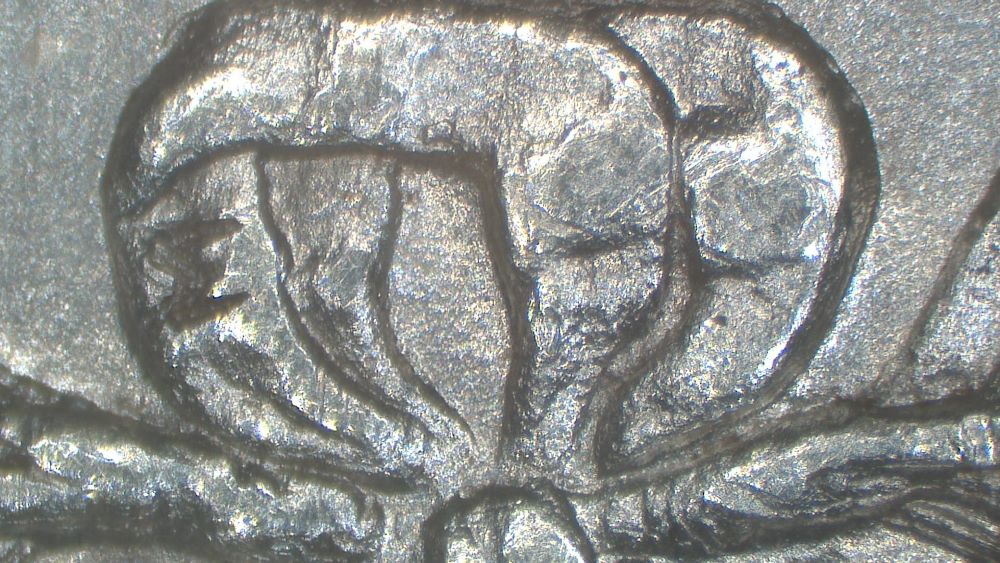 Image 9