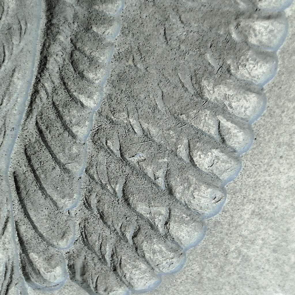 Image 10