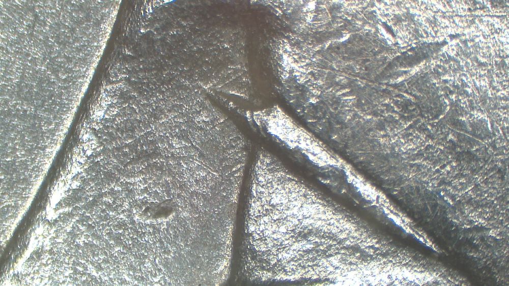 Image 14