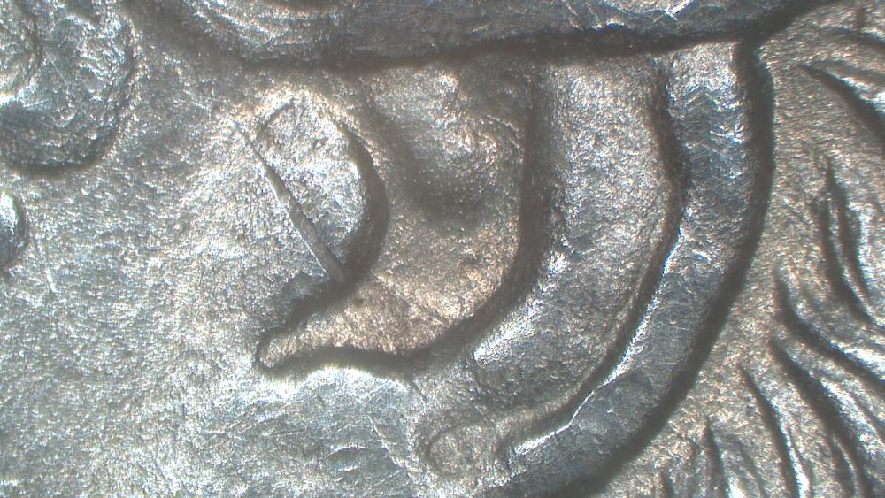 Image 15