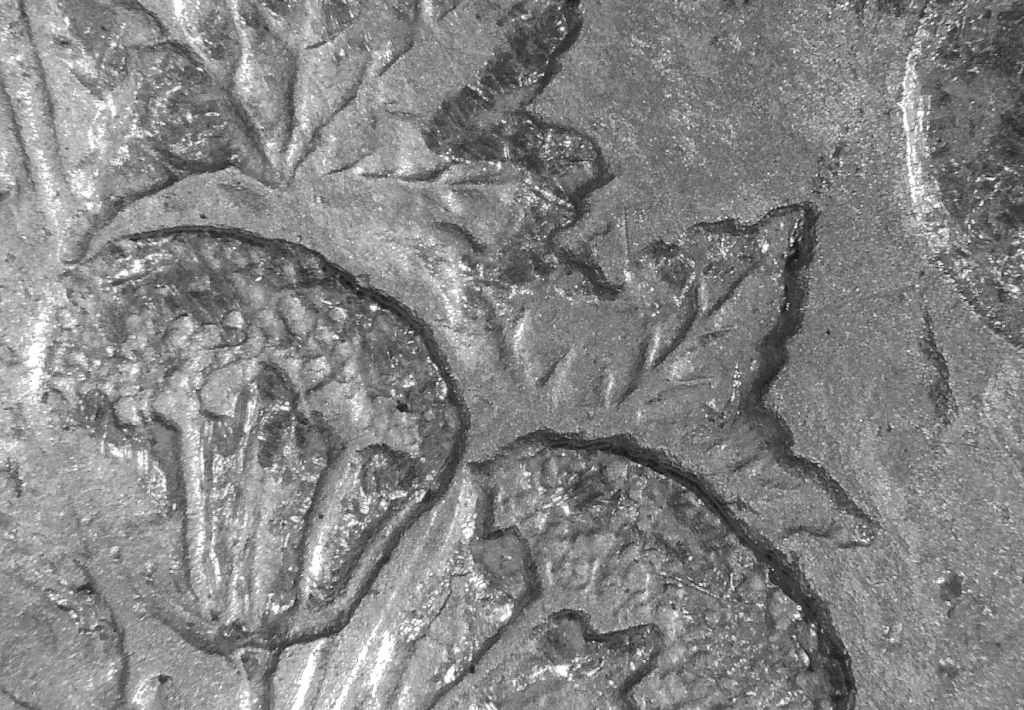 Image 9