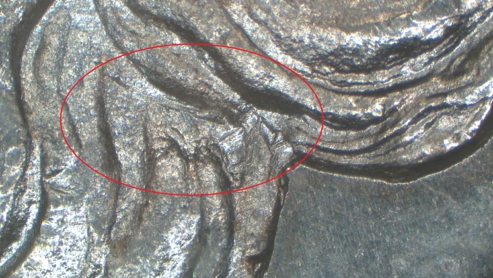 Image 22