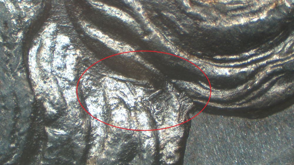 Image 25