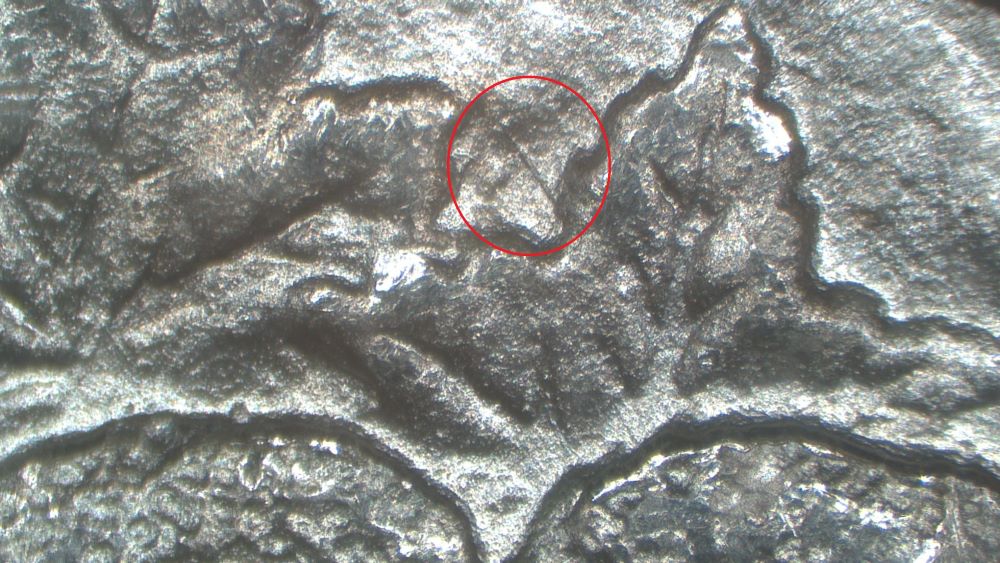 Image 14