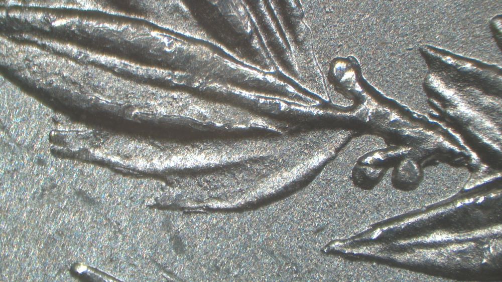 Image 24