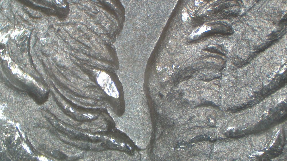 Image 13