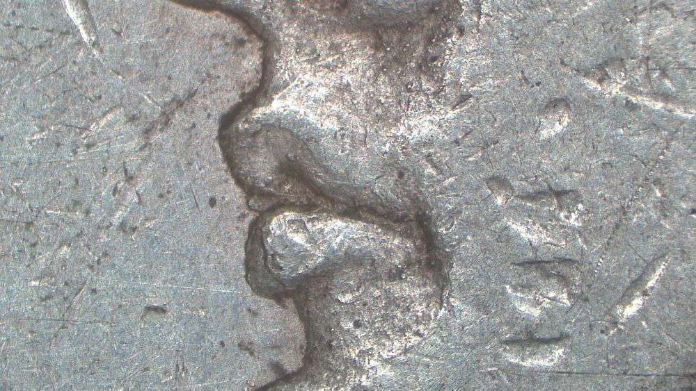 Image 15