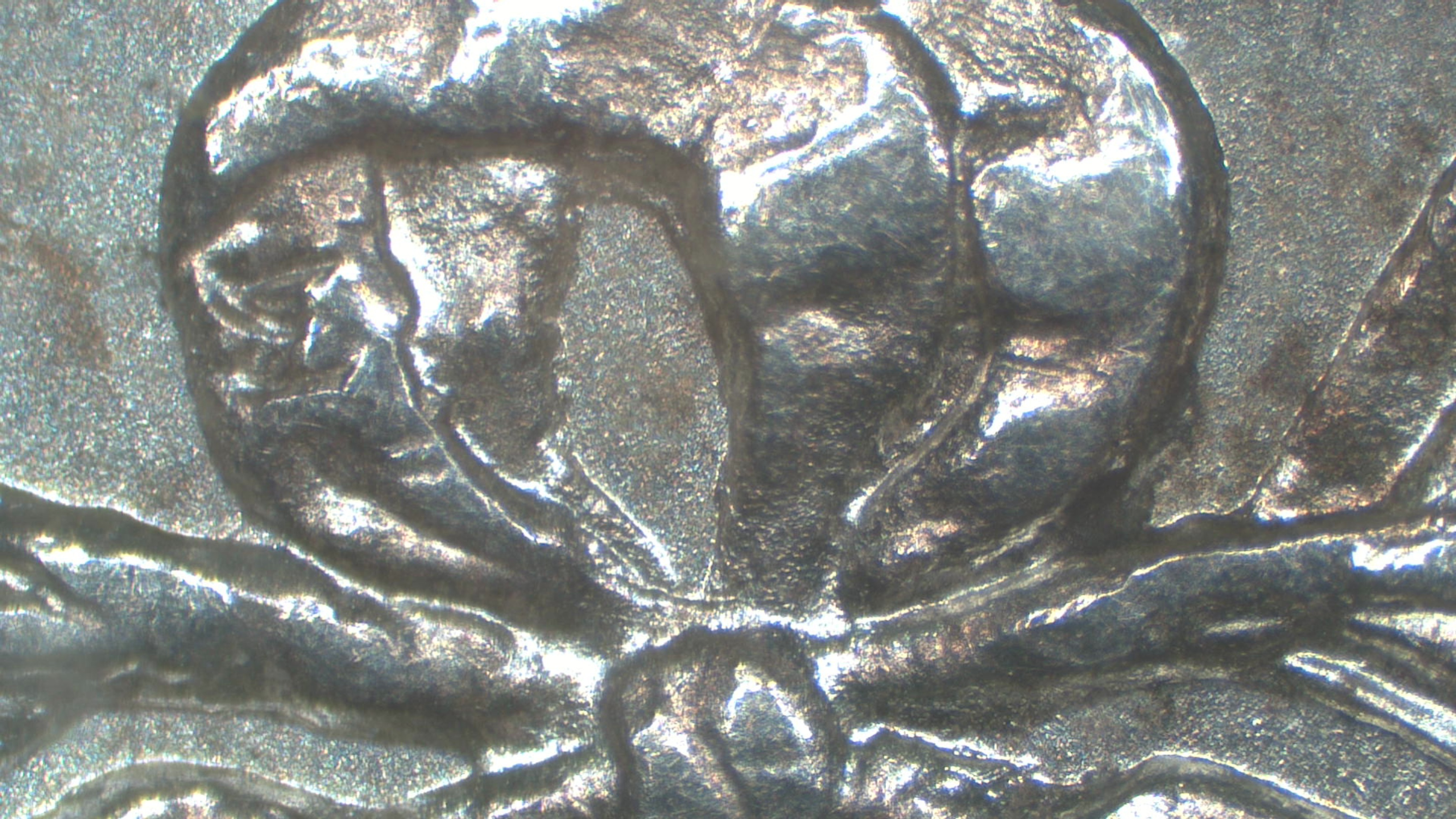 Image 20