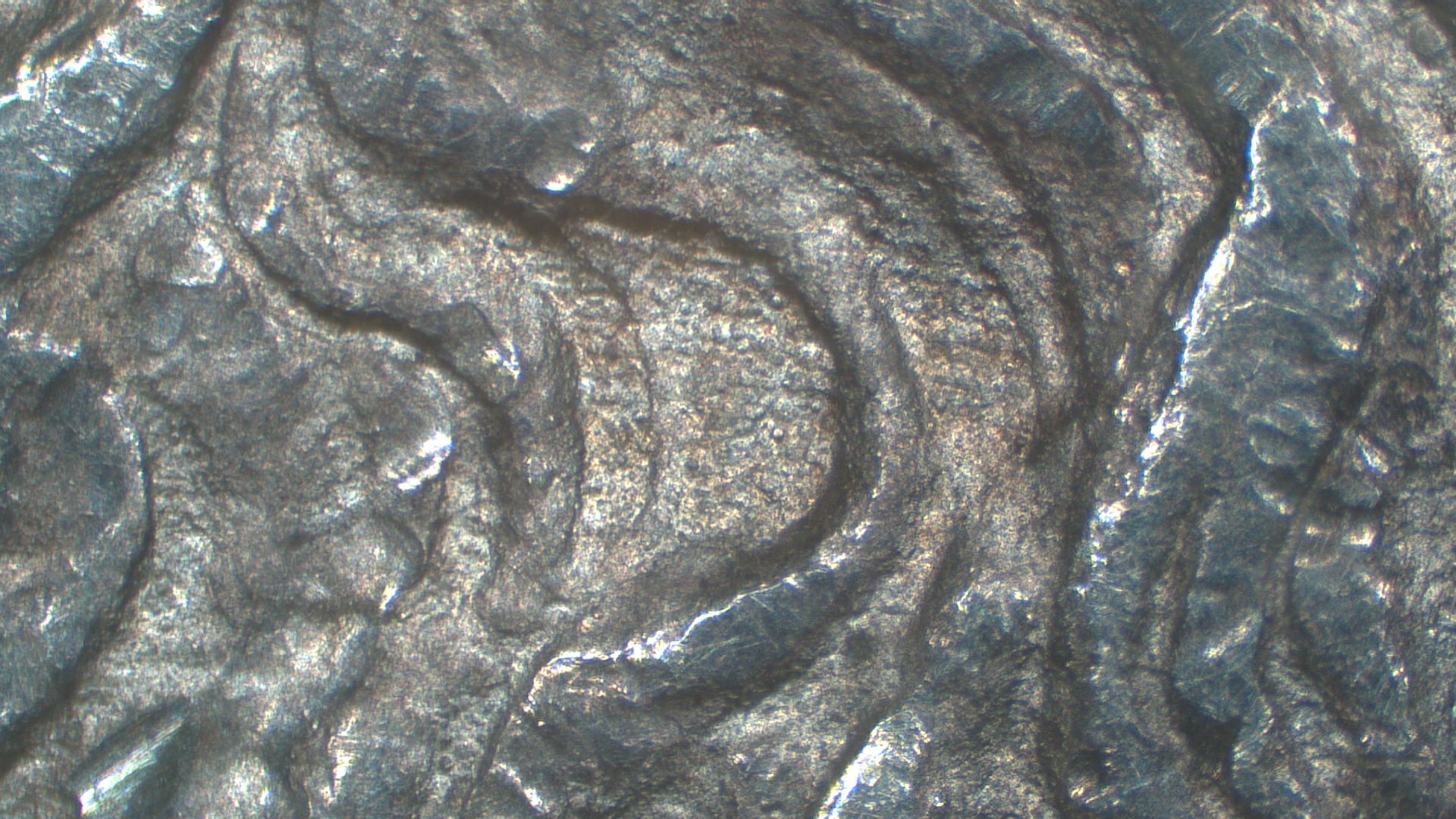 Image 17