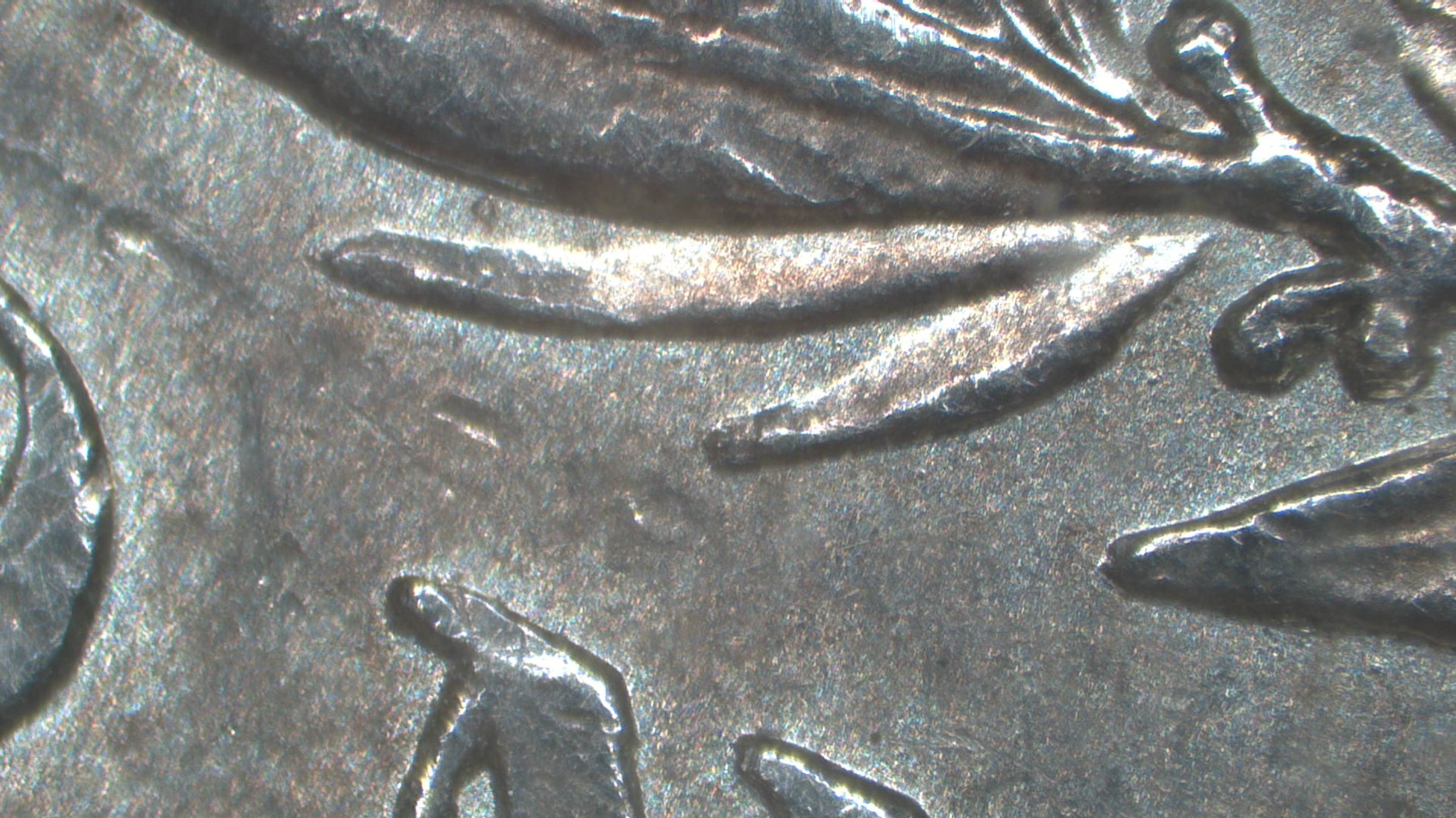 Image 14