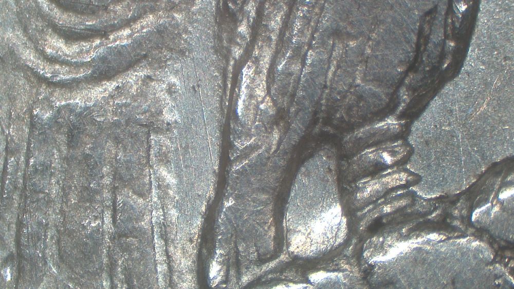 Image 24