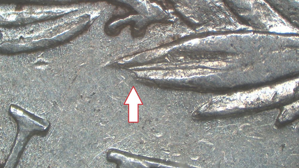 Image 14