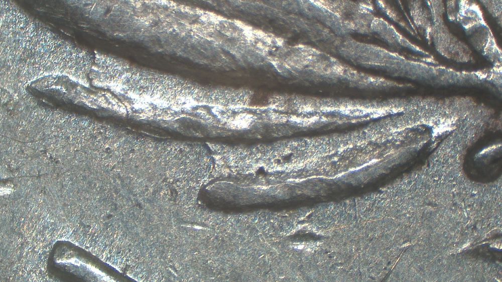 Image 17