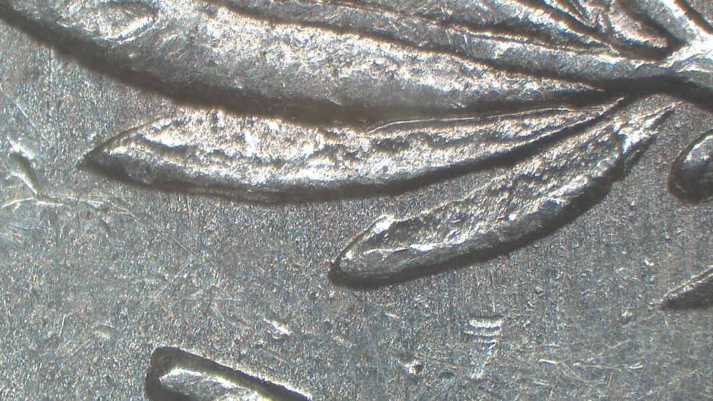 Image 13